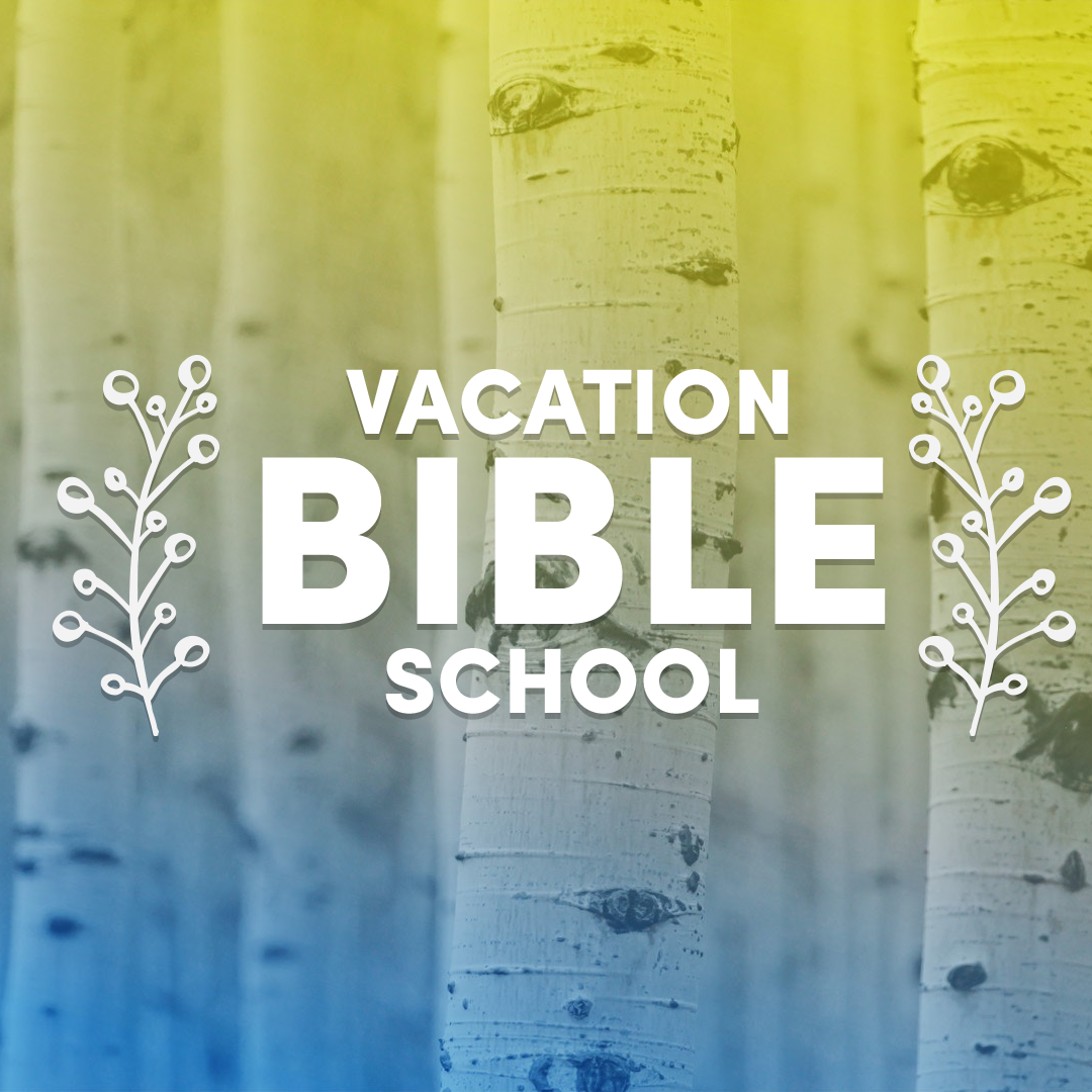 VBS 25
