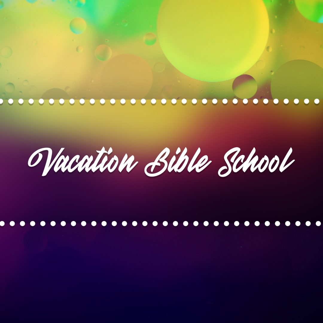 VBS 29
