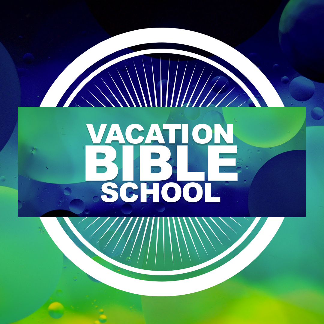 VBS 30