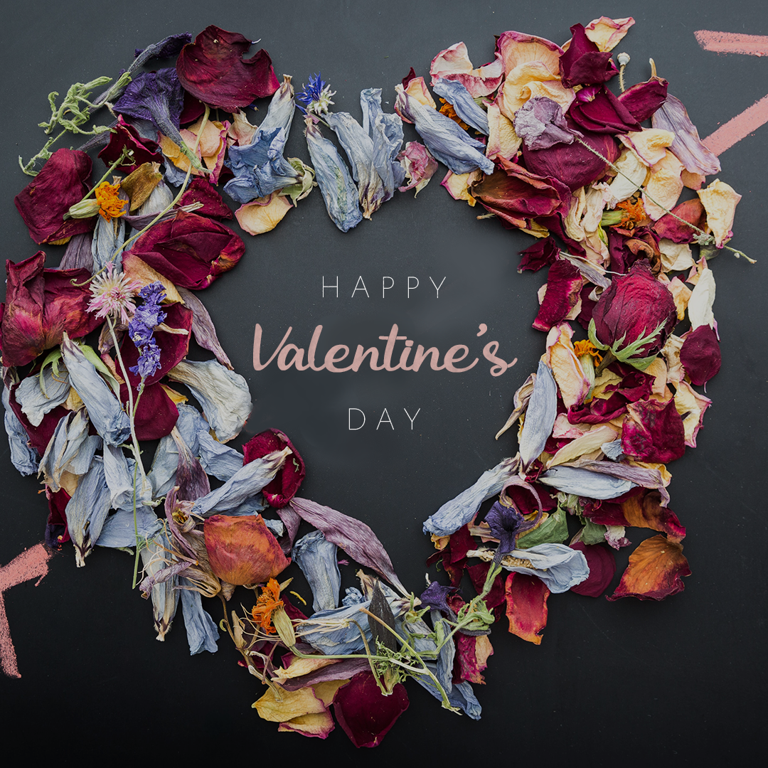 Valentines Day 7