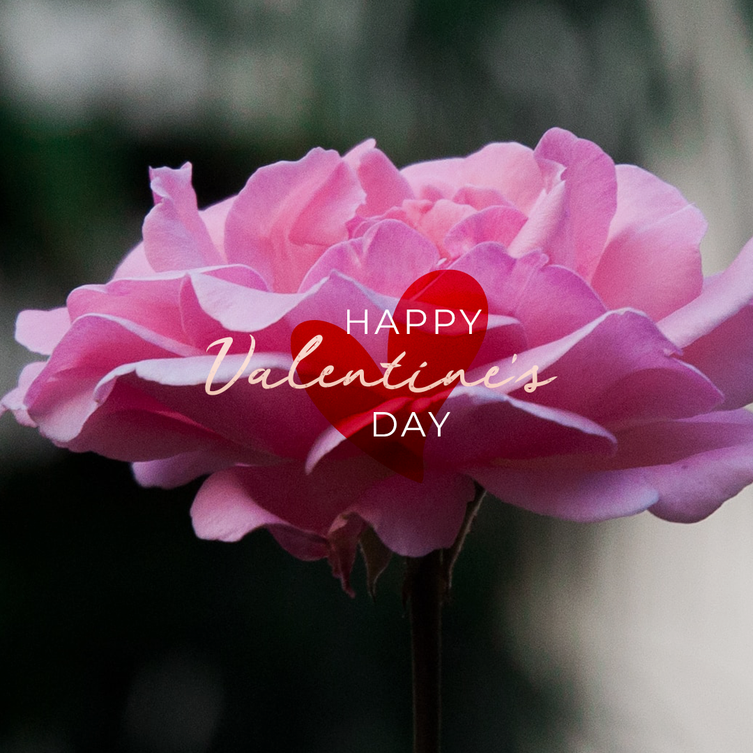 Valentines Day 28