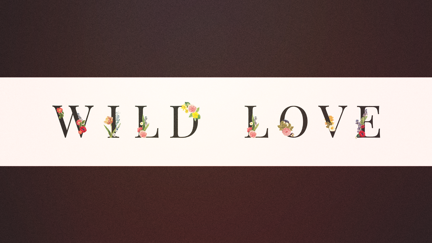 Wild Love Sermon Banner