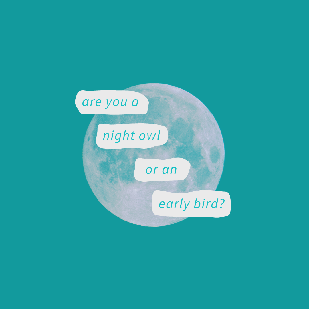 Social Interaction 37