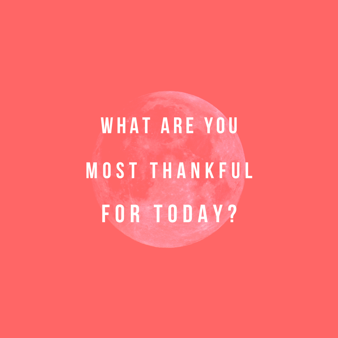 Social Interaction 87