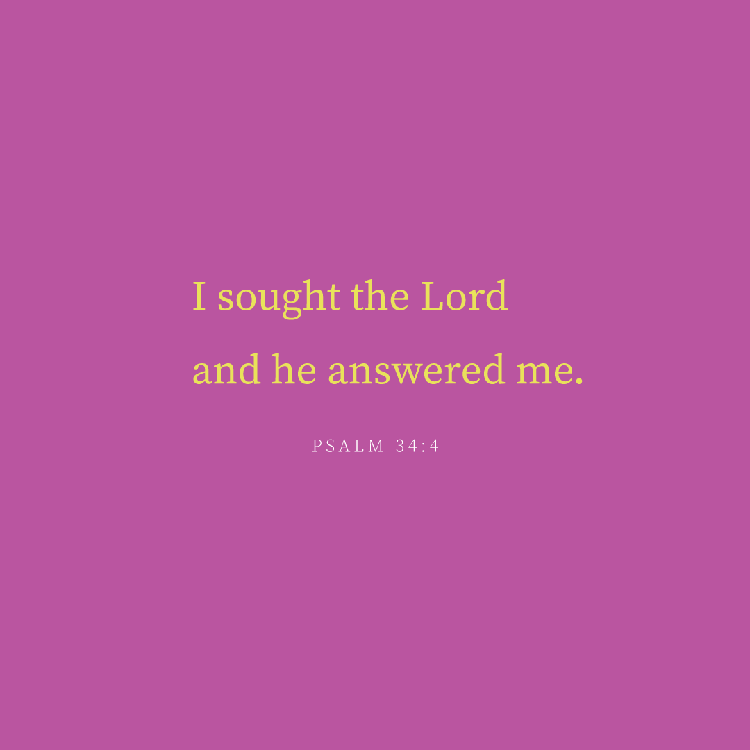 Social Scripture 183