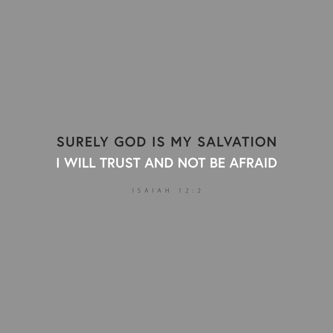 Social Scripture 203