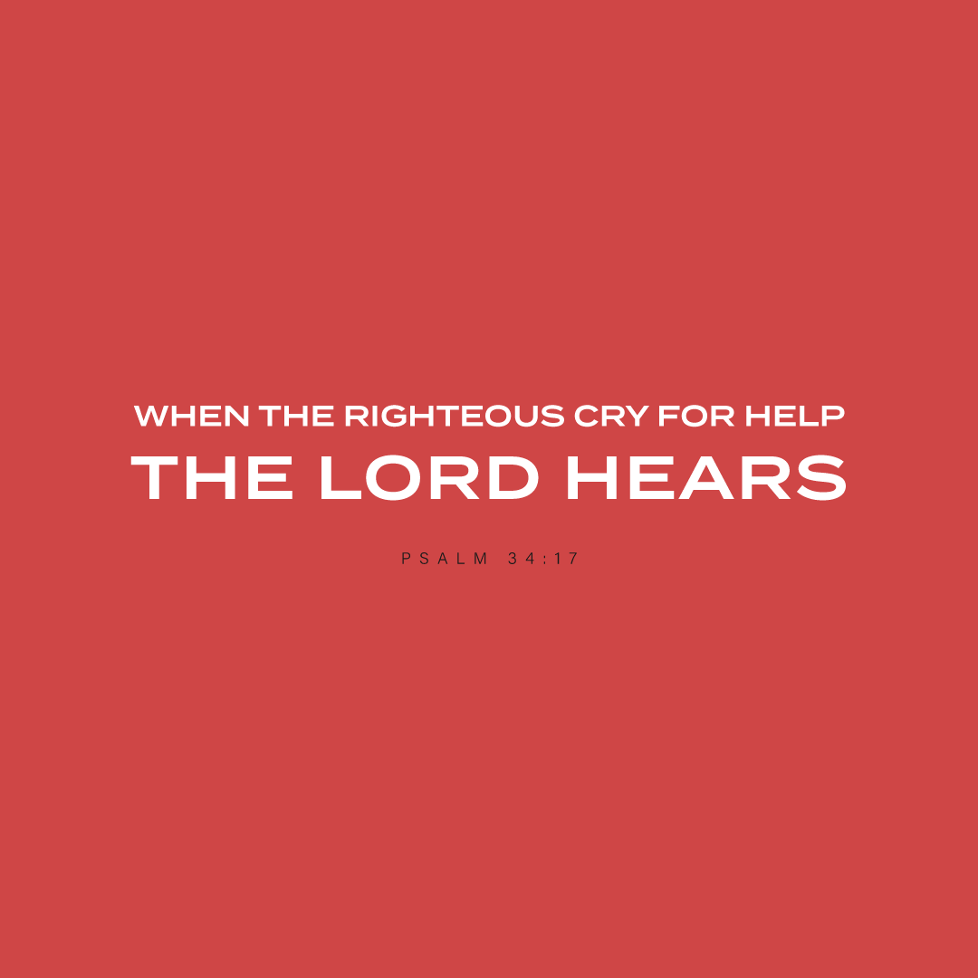Social Scripture 212