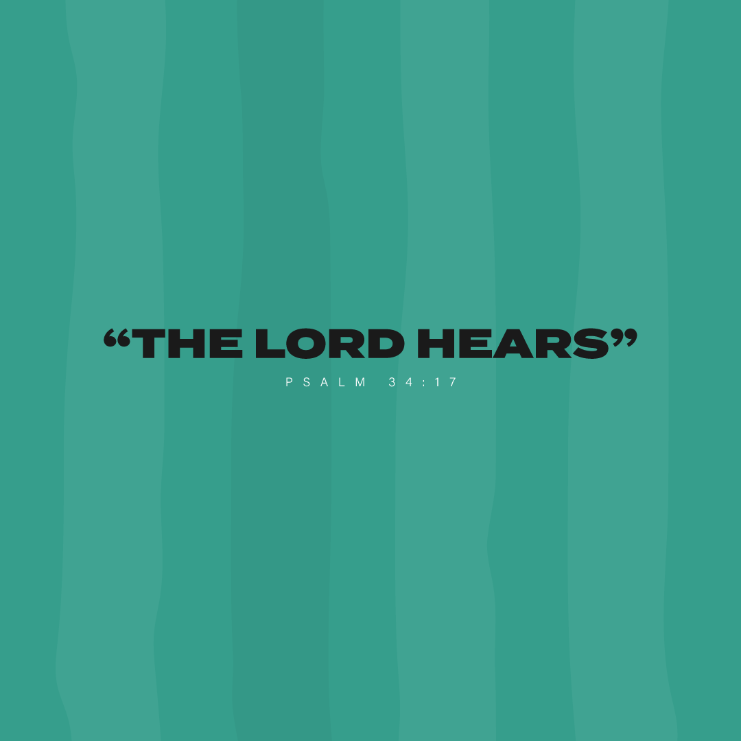 Social Scripture 216