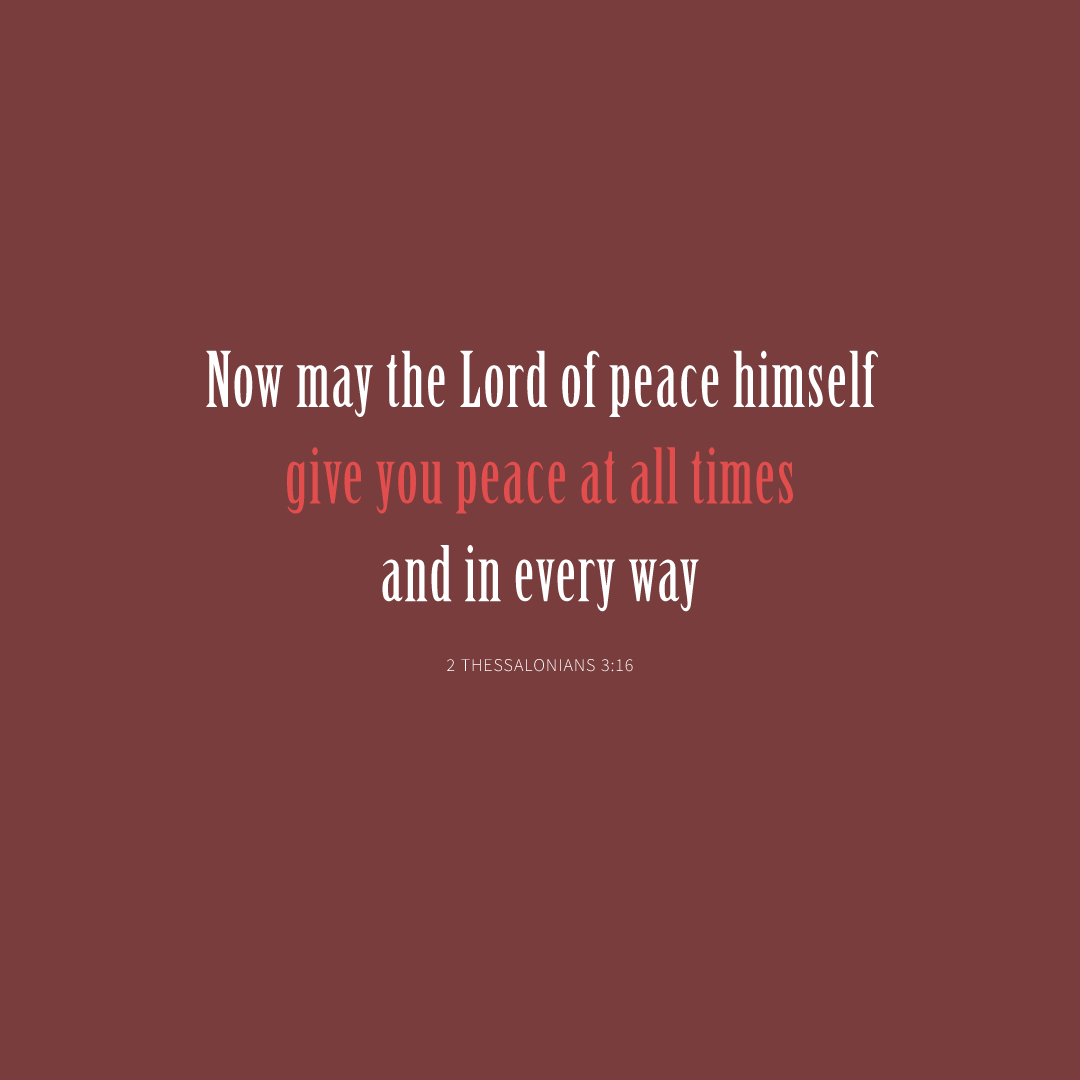 Social Scripture 221