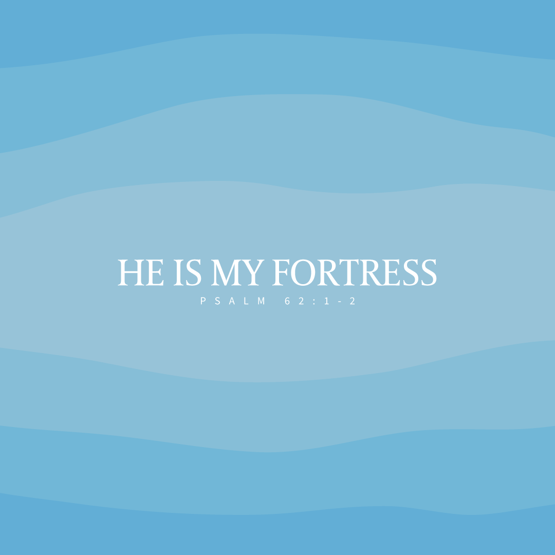 Social Scripture 231