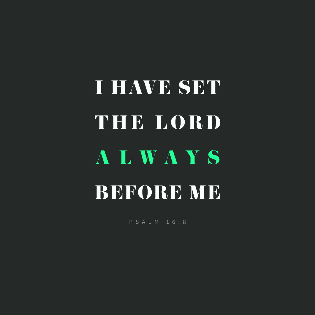 Social Scripture 247