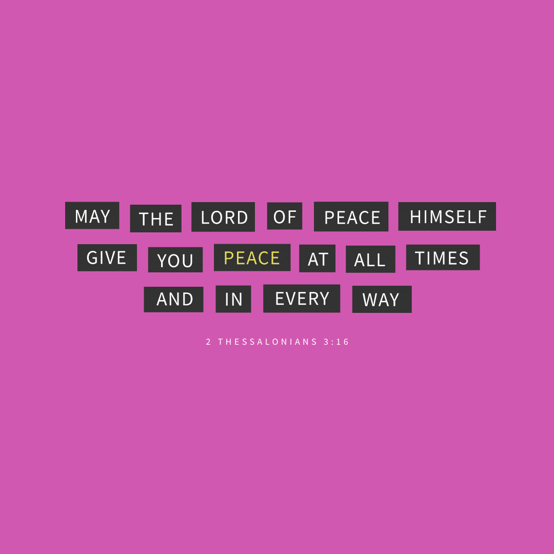 Social Scripture 284