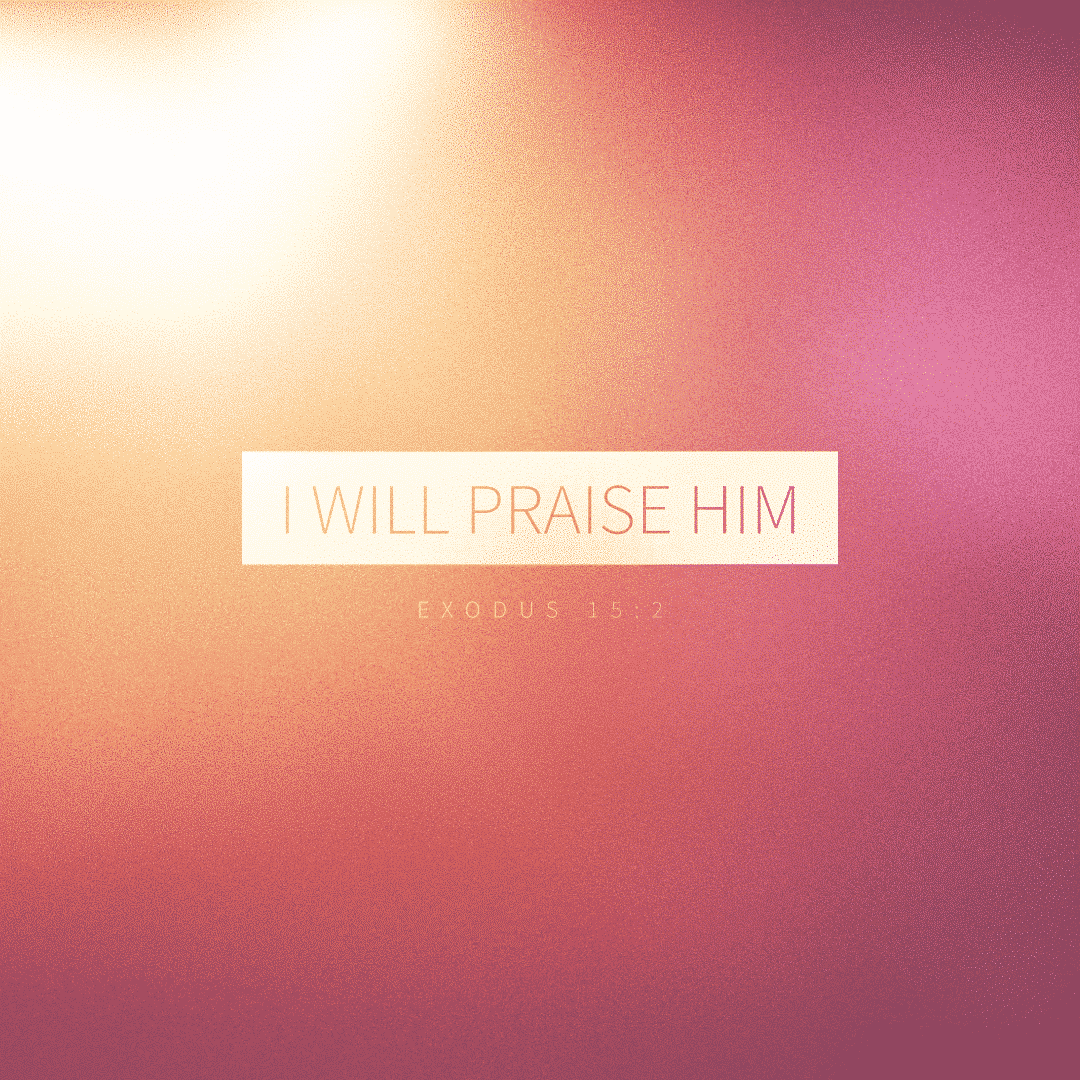 Social Scripture 318