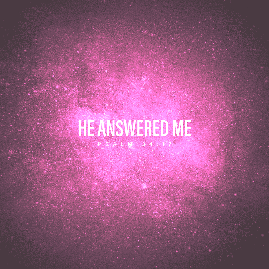 Social Scripture 337