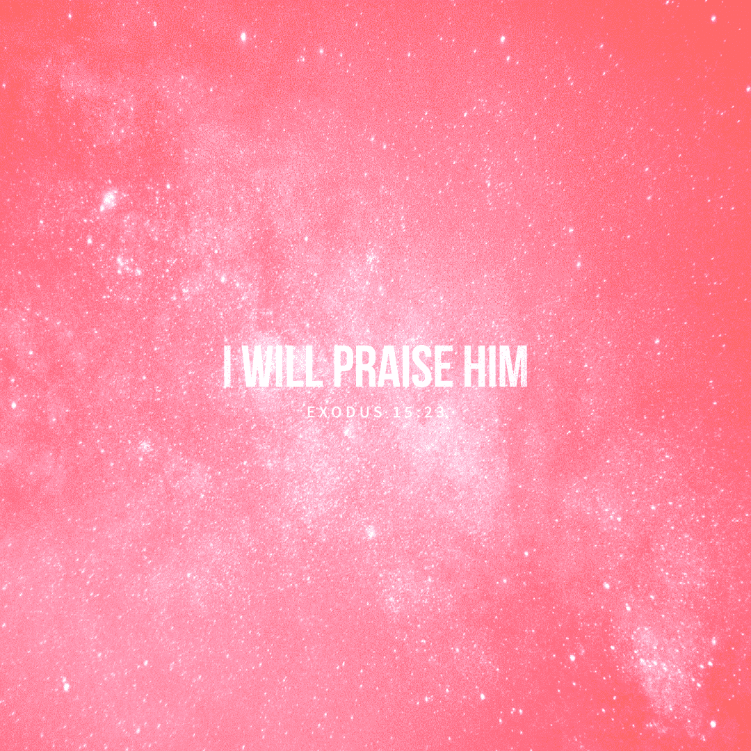 Social Scripture 377