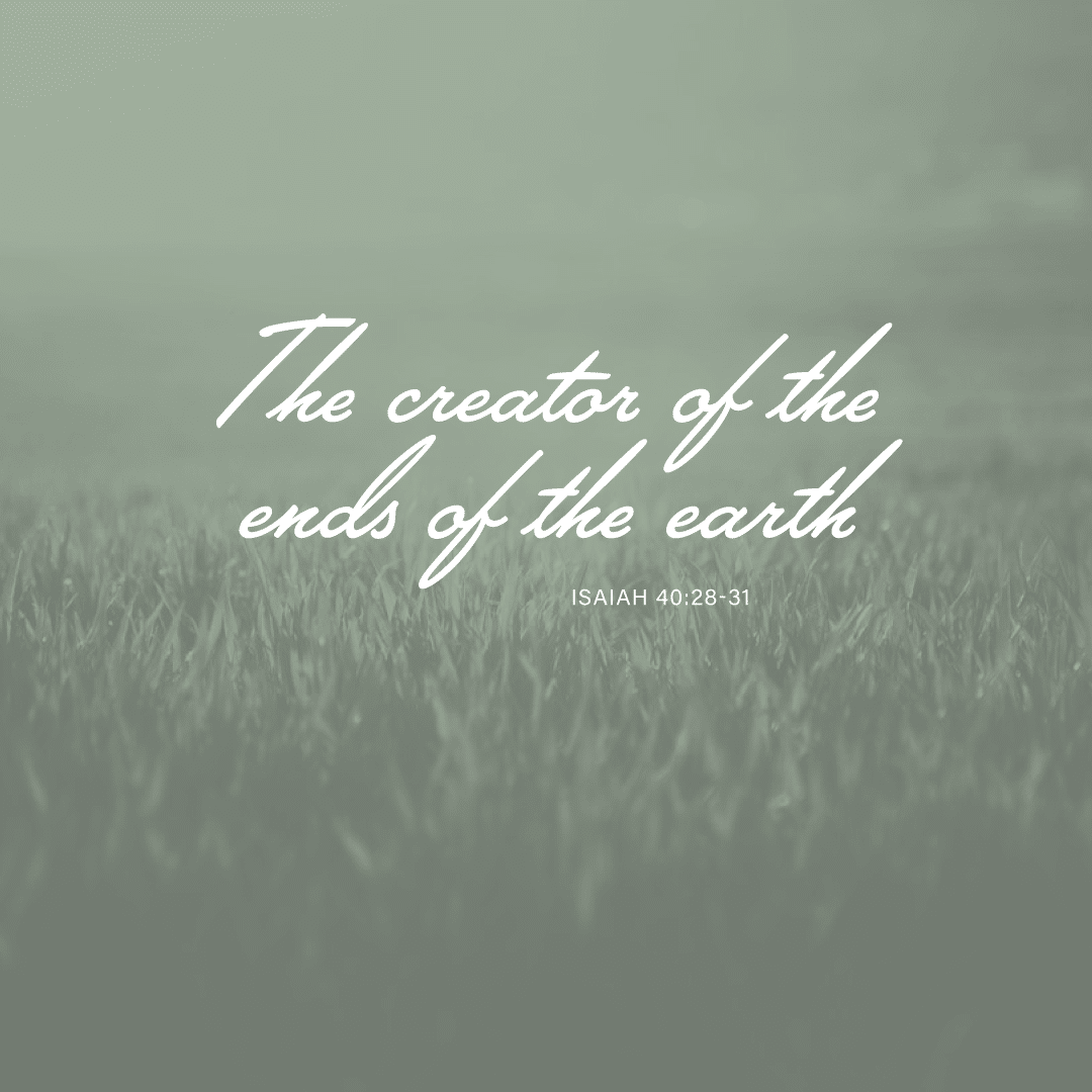 Social Scripture 417