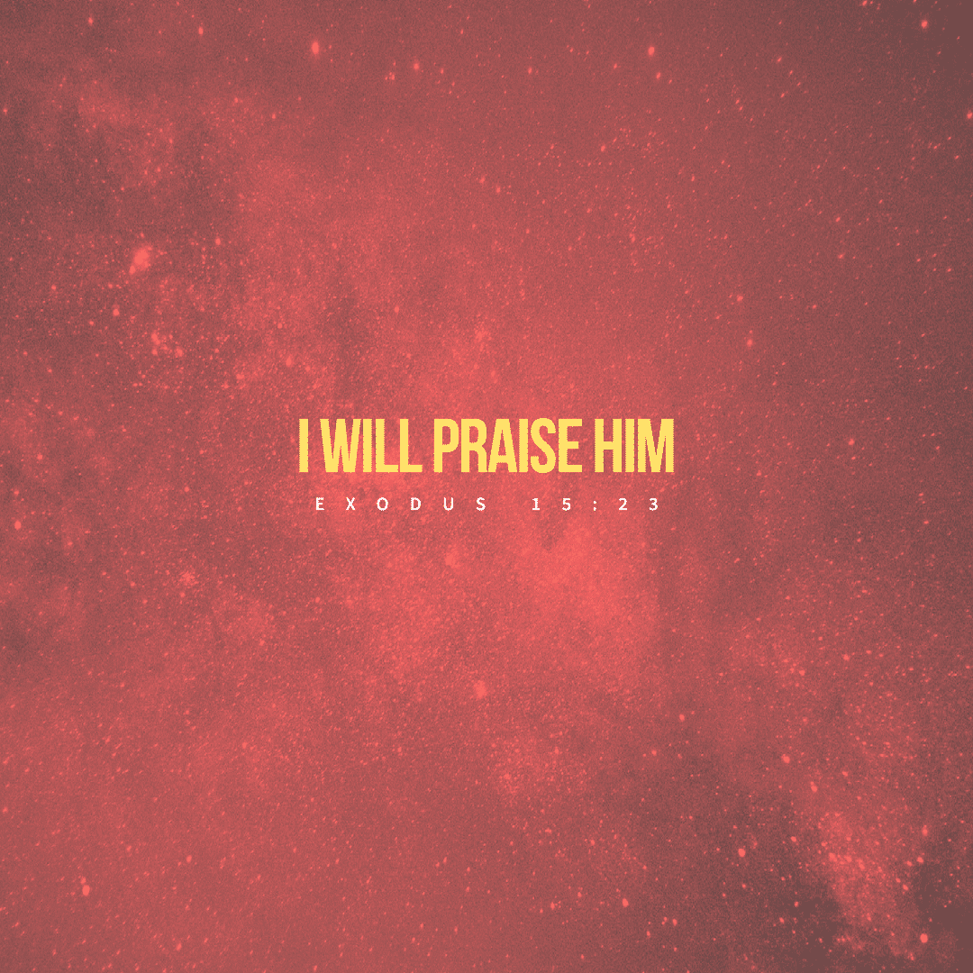 Social Scripture 423