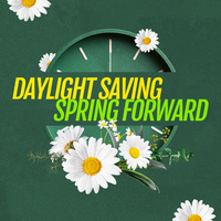 Daylight Savings 73