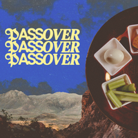 Passover 31