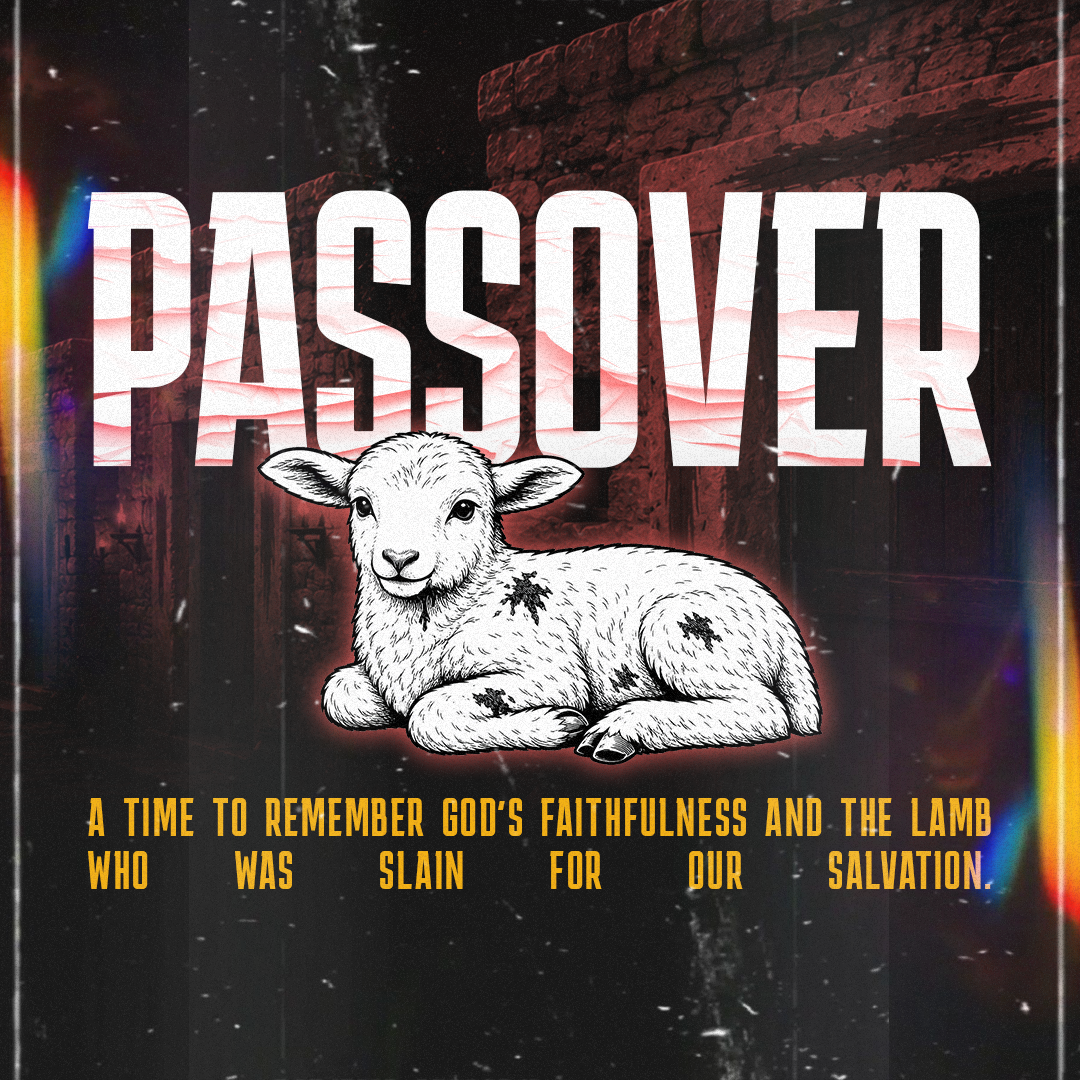 Passover 41