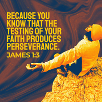 Social Scripture 638