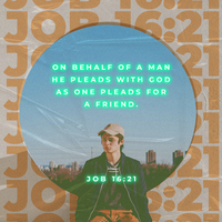 Social Scripture 646