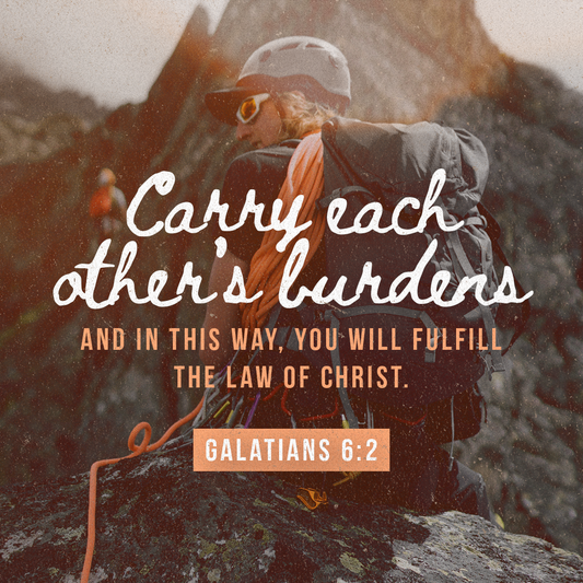 Social Scripture 658