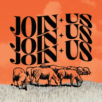 Social Interaction 241