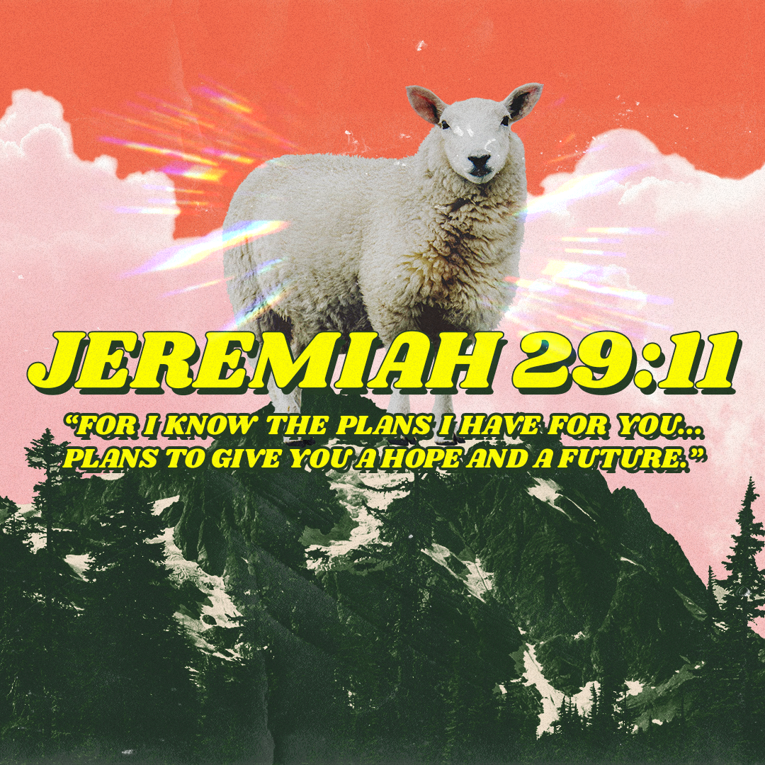 Social Scripture 699