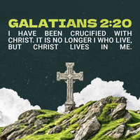 Social Scripture 712