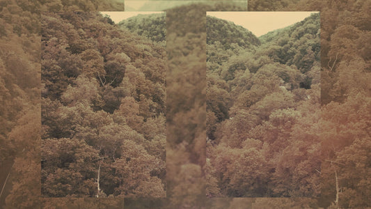 Motion Worship Background - Jungle (Landscape) 03