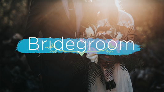 Bridegroom