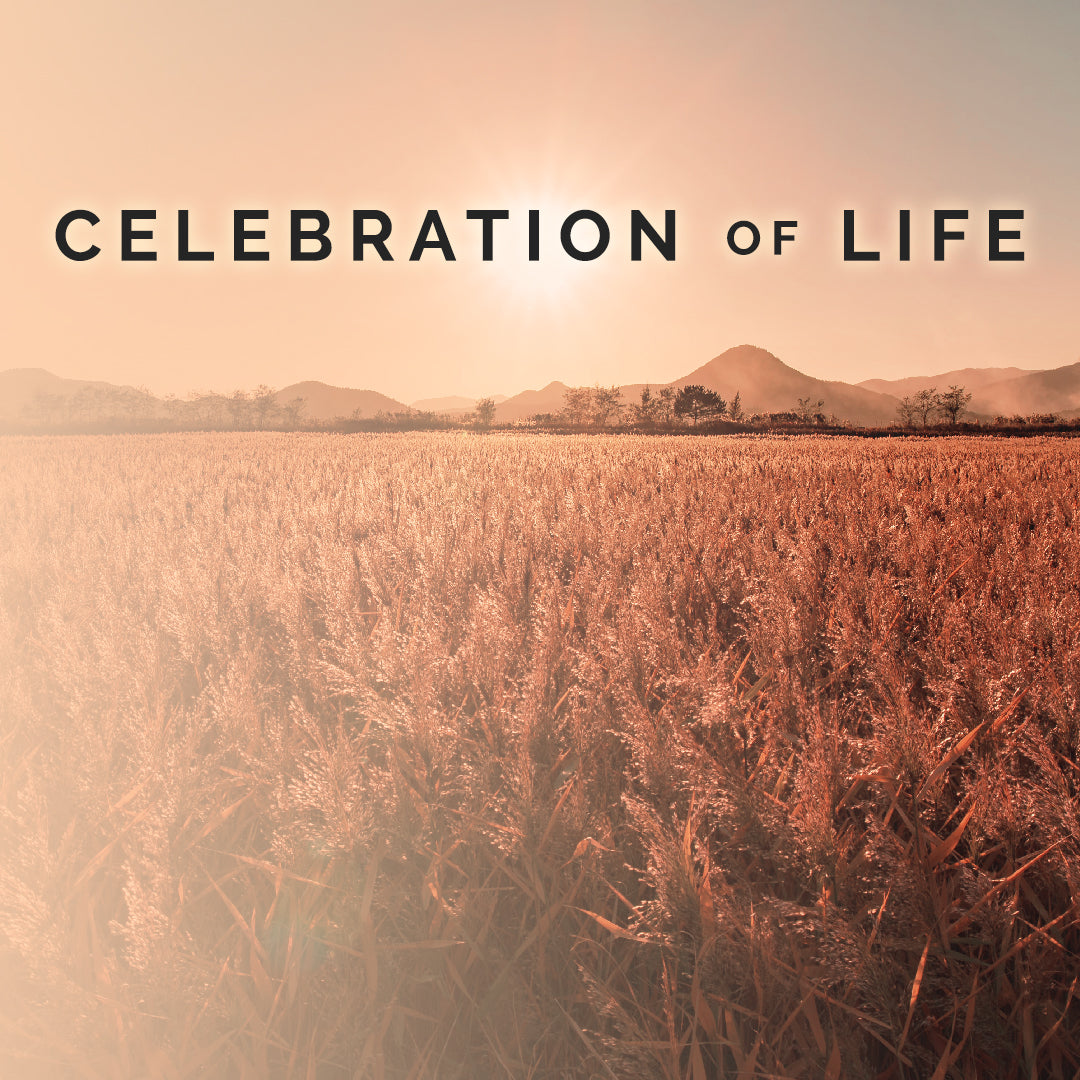 Celebration of Life 2