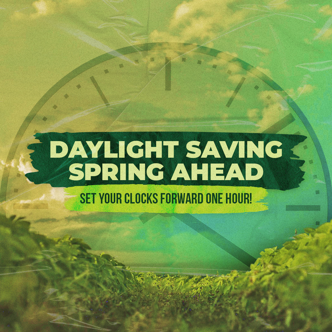 Daylight Savings 51
