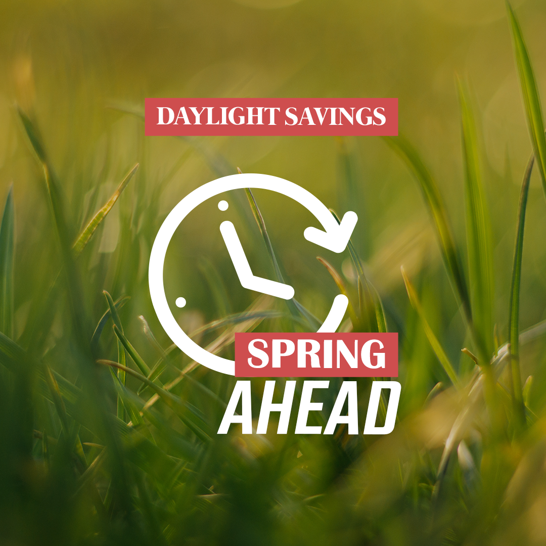 Daylight Savings 19