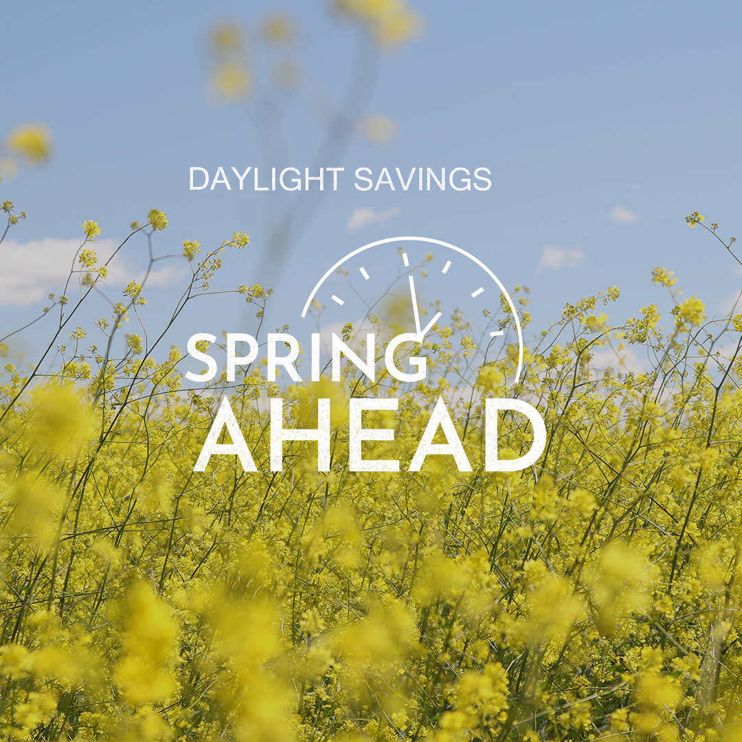 Daylight Savings 22