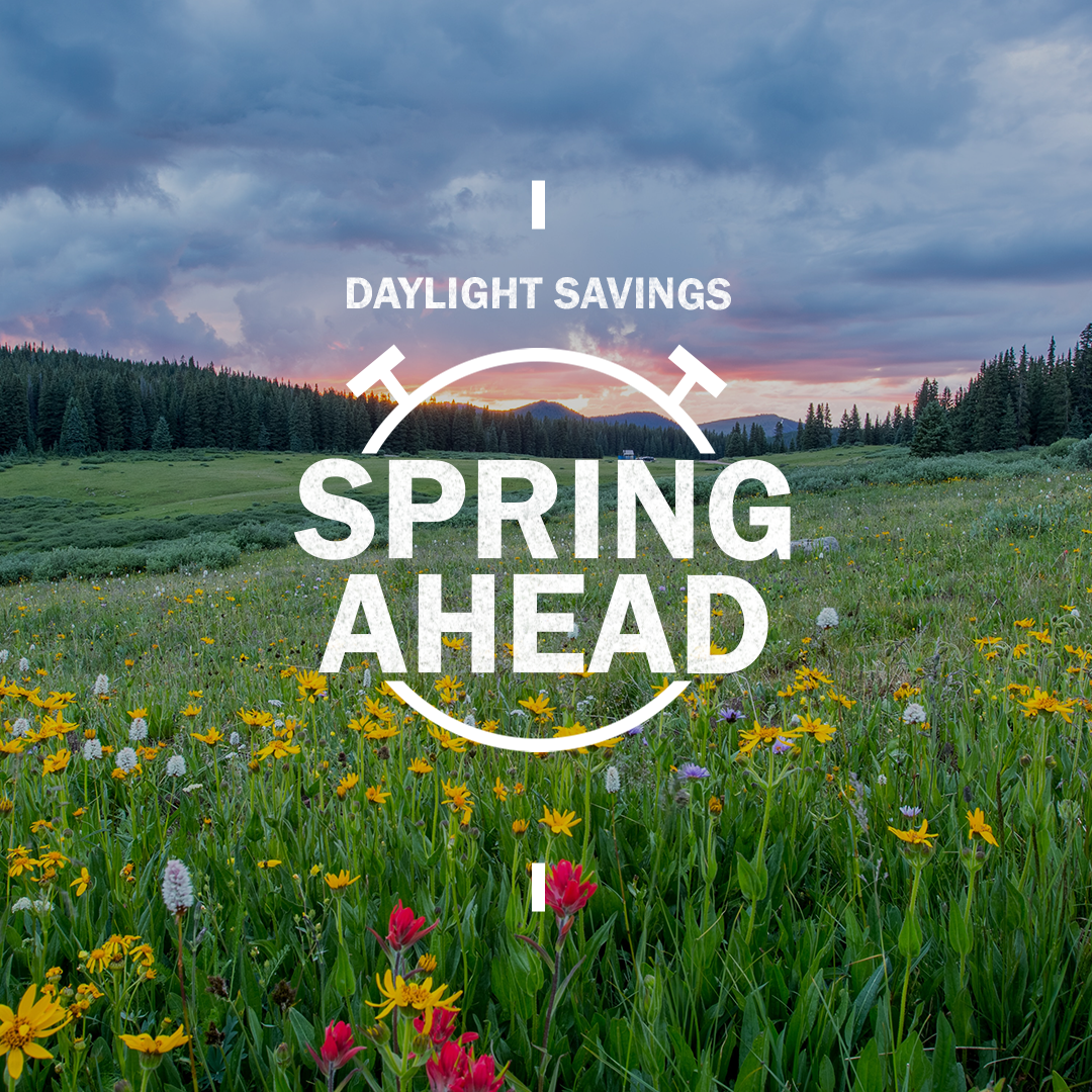 Daylight Savings 23