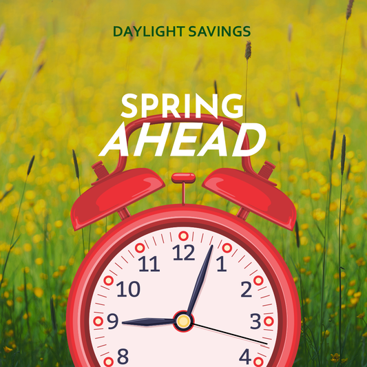 Daylight Savings 24