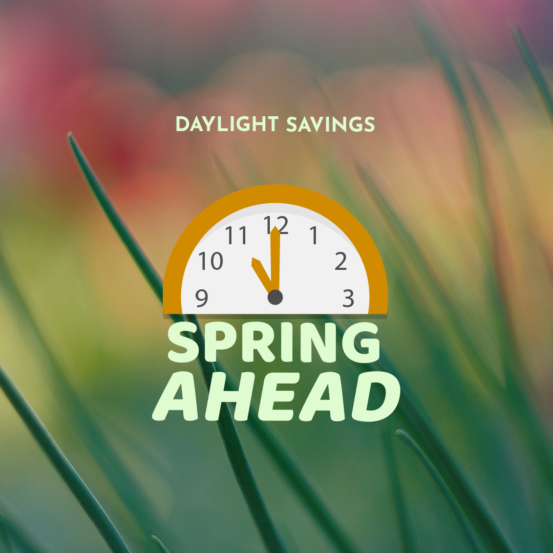 Daylight Savings 26