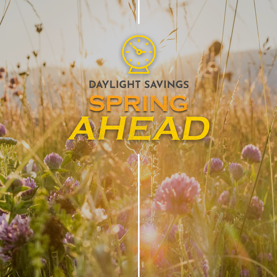 Daylight Savings 28