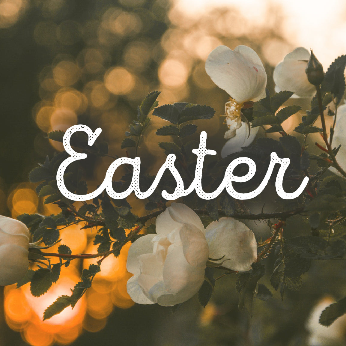 Easter Graphic 20