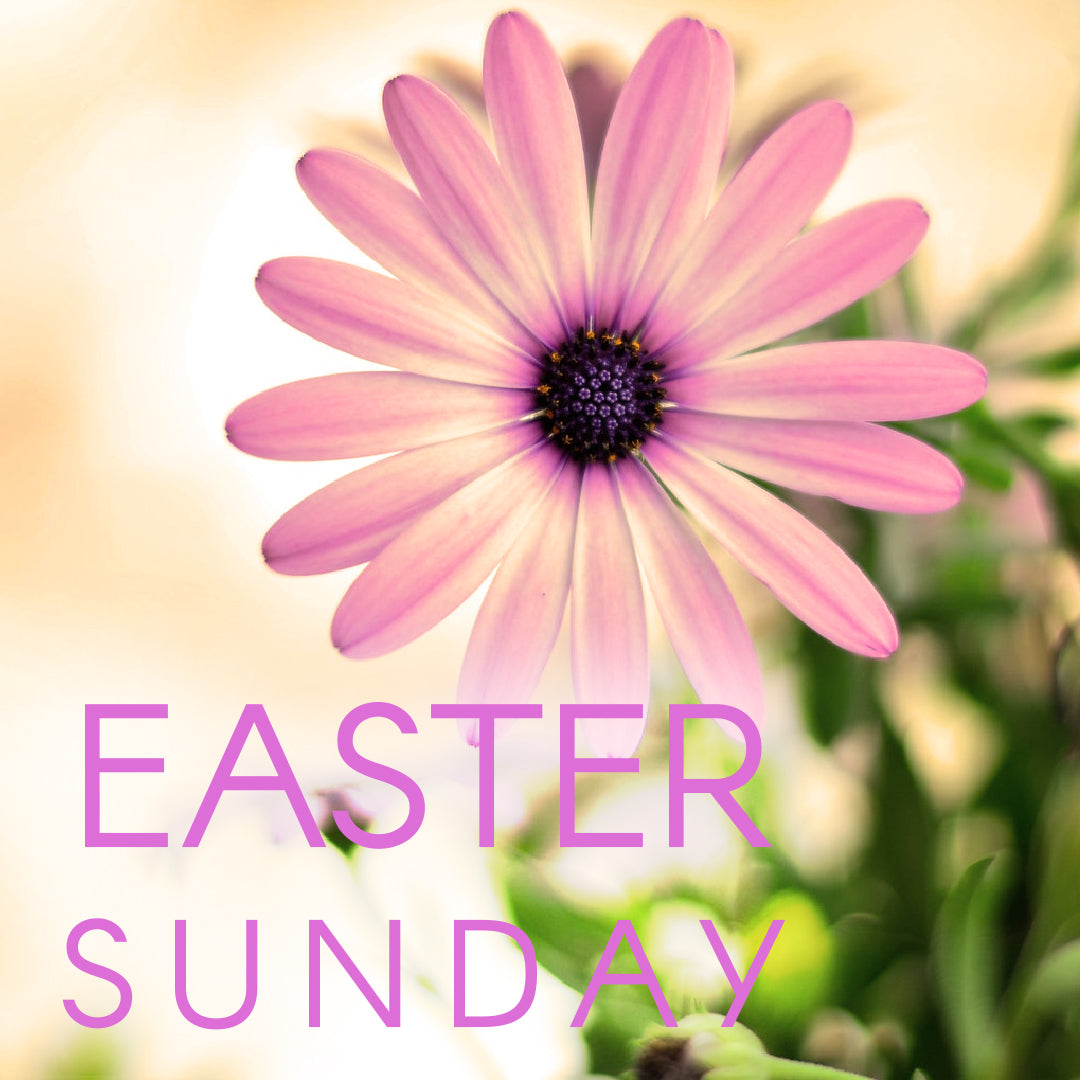 Easter Graphic 25
