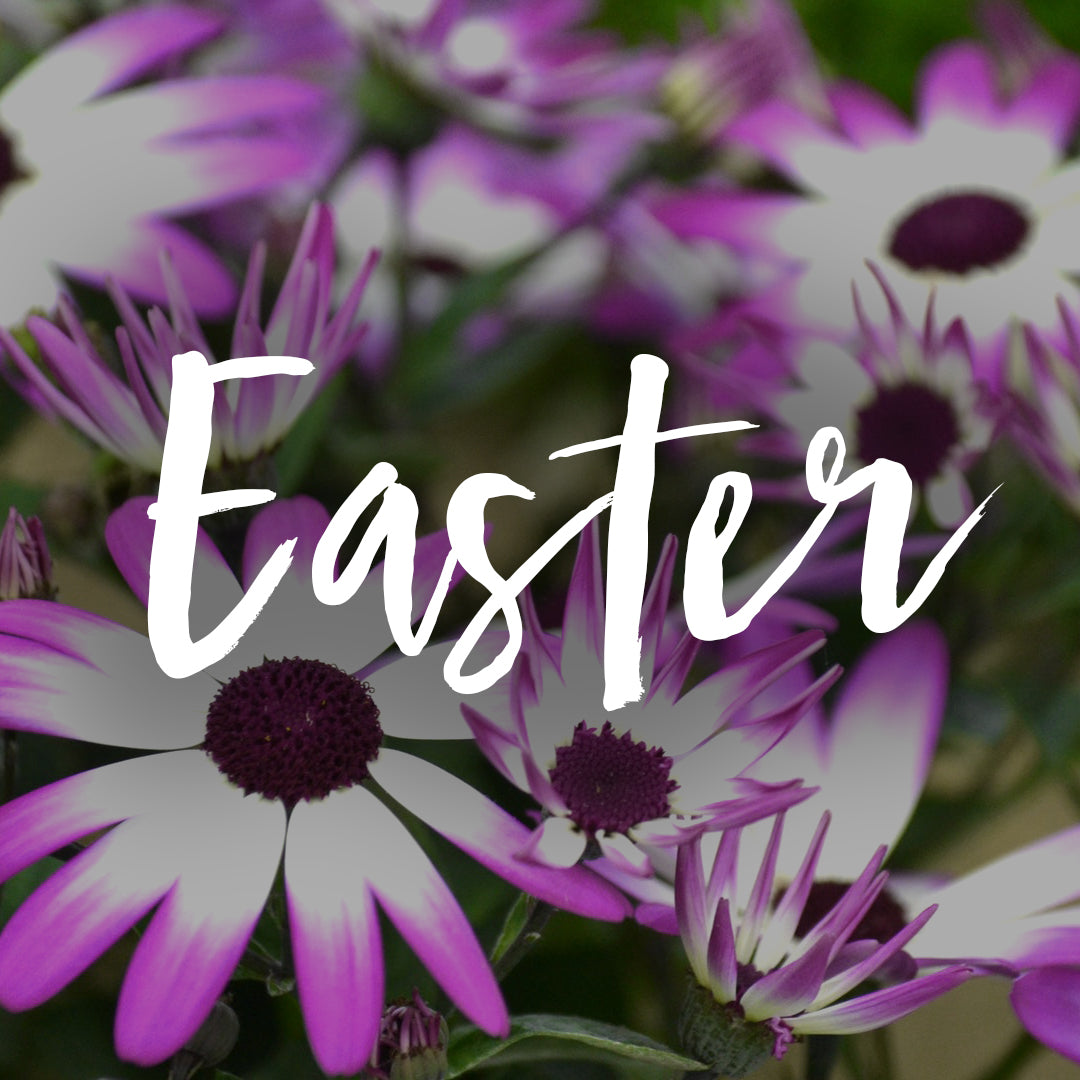 Easter Graphic 47