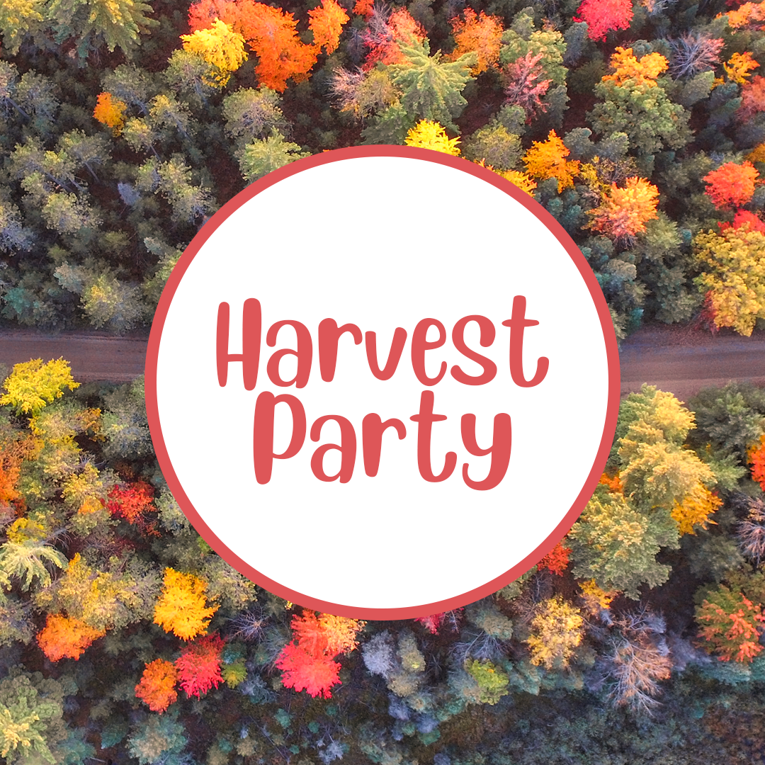 Harvest Festival 3