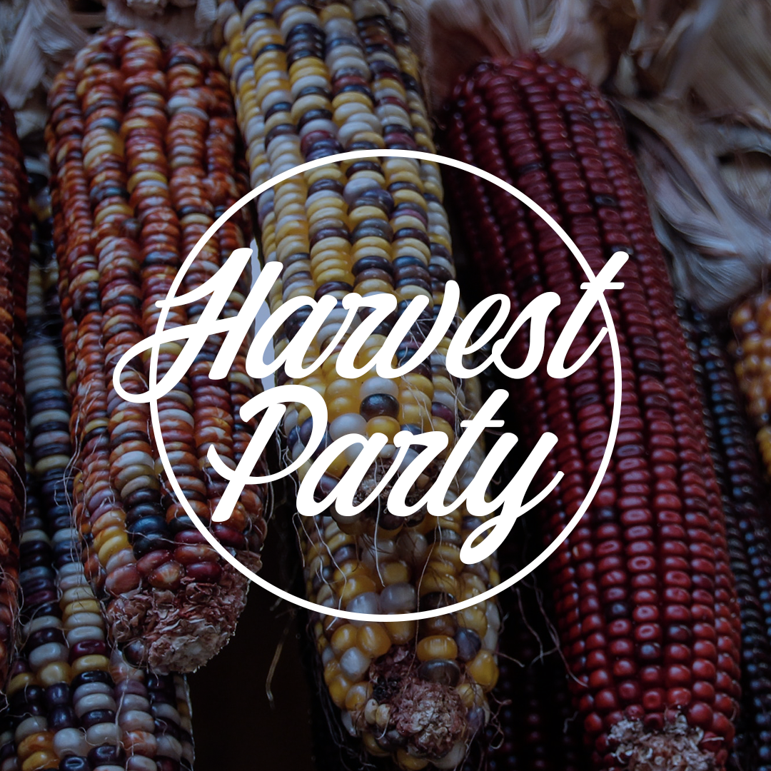 Harvest Festival 7