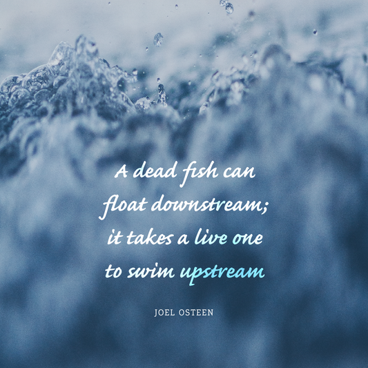 Social Inspirational 21