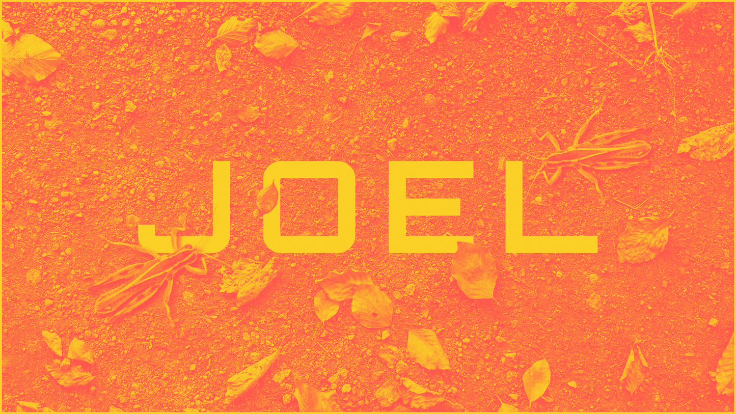 Sermon Graphic on the Book of Joel Ver_2