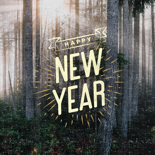 New Years Day 11