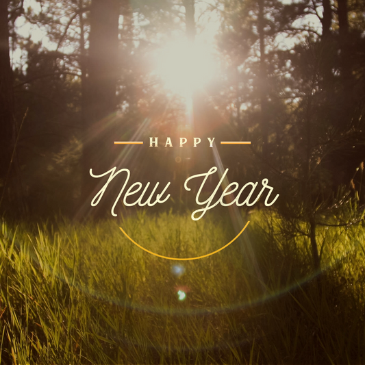 New Years Day 23