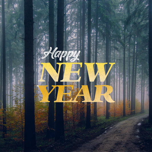 New Years Day 28